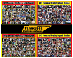 2012 TWLR poster